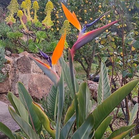 Villa Boheme Costa Brava Calonge  Dış mekan fotoğraf