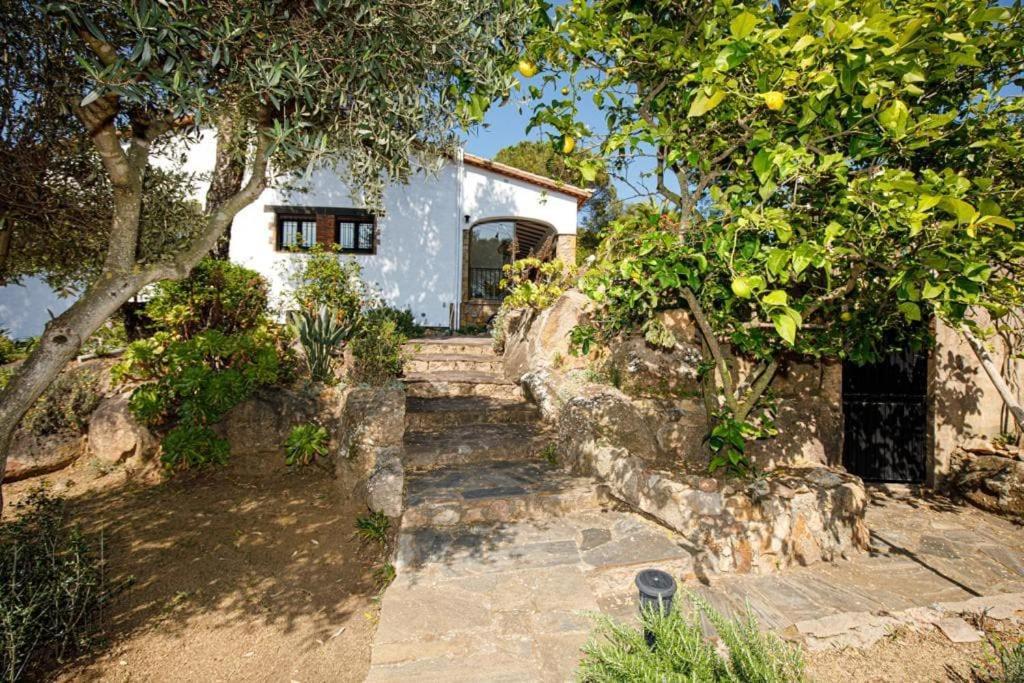 Villa Boheme Costa Brava Calonge  Dış mekan fotoğraf